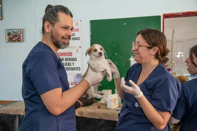 Dois veterinários de uniforme sorrindo para um filhote no colo durante a consulta