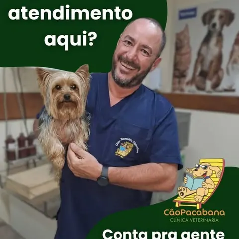 Post do Instagram da Cãopacabana: veterinário da equipe com um yorkshire no colo