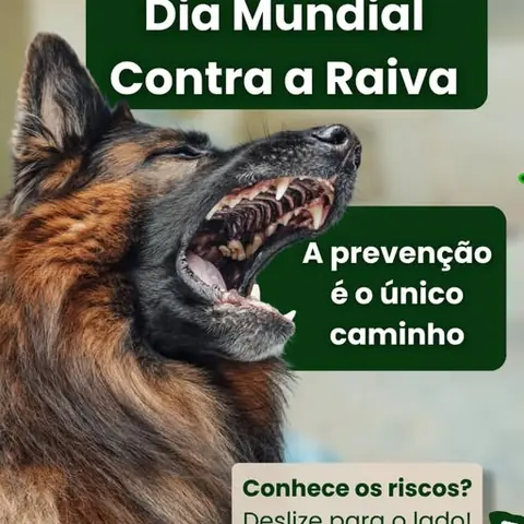 Post do Instagram da Cãopacabana: dia mundial contra a raiva