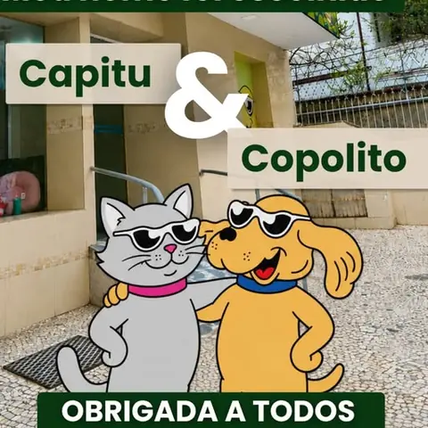 Ilustração dos mascotes Capitu, uma gata, e Copolito, um cachorro, de óculos escuros